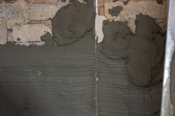 istockphoto-1331472722-612x612
